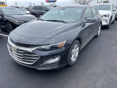 Used 2023 Chevrolet Malibu LT image 1