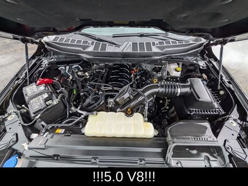 Used 2025 Ford F150 XLT w/ Equipment Group 301A Standard AWD/4WD image 24