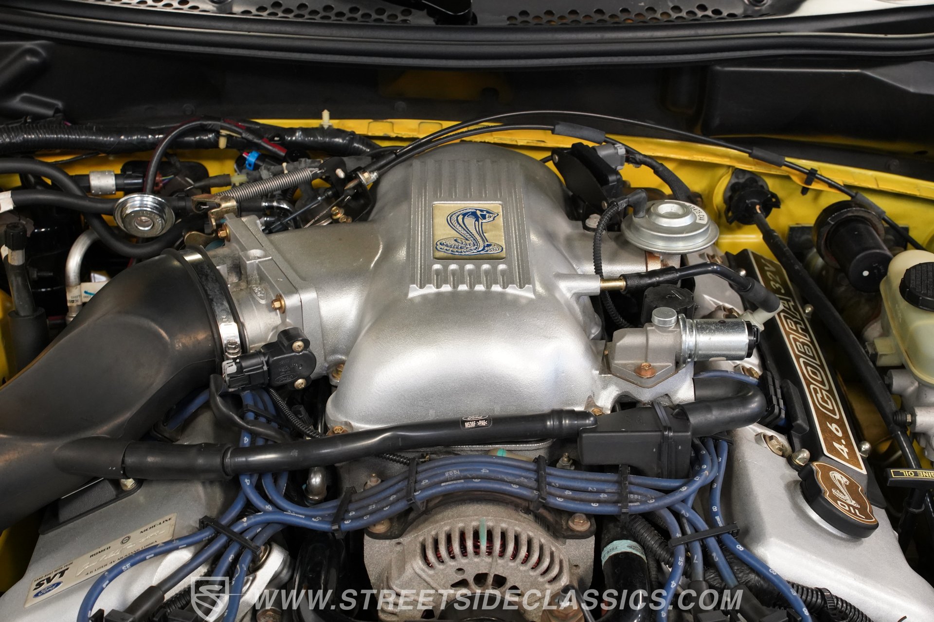 Used 1998 Ford Mustang Cobra RWD image 35