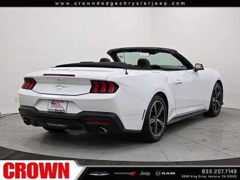 Used 2024 Ford Mustang EcoBoost image 7