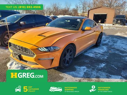 Used 2019 Ford Mustang Coupe w/ Equipment Group 101A