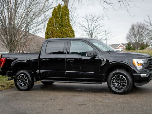 Used 2023 Ford F150 XLT w/ Equipment Group 302A High image 4