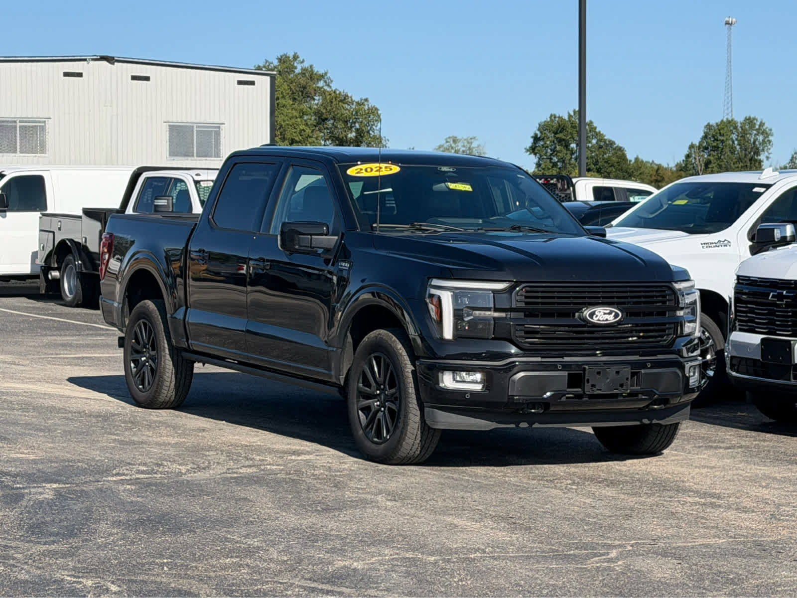 Used 2025 Ford F150 Platinum w/ Equipment Group 702A High AWD/4WD image 1