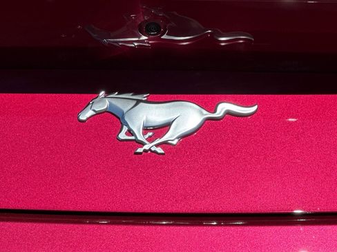 New 2025 Ford Mustang Ecoboost image 8