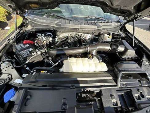 Used 2025 Ford F150 XLT w/ Equipment Group 301A Standard image 14