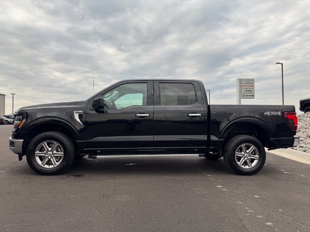 Used 2025 Ford F150 XLT w/ Equipment Group 301A Standard AWD/4WD image 8