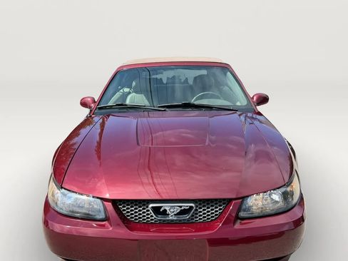 Used 2004 Ford Mustang Premium RWD image 8