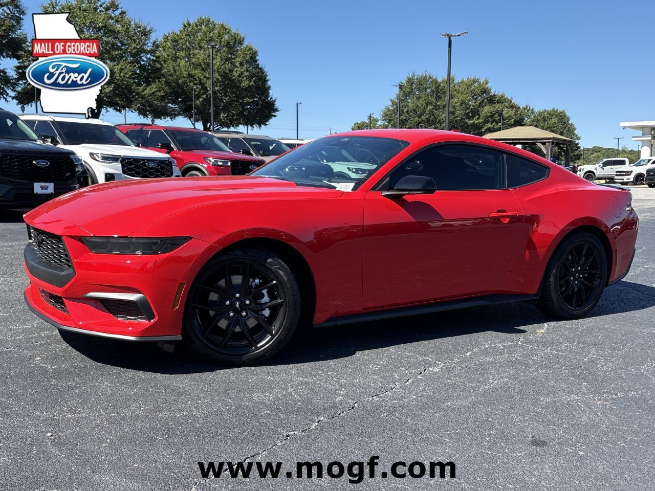 New 2026 Ford Mustang Coupe w/ Mustang Nite Pony Package RWD image 1
