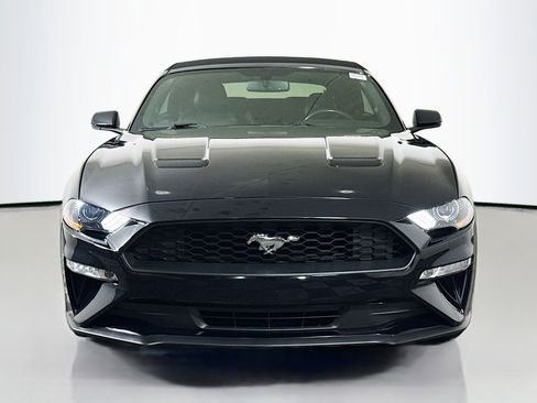 Used 2018 Ford Mustang Premium w/ Equipment Group 201A image 2