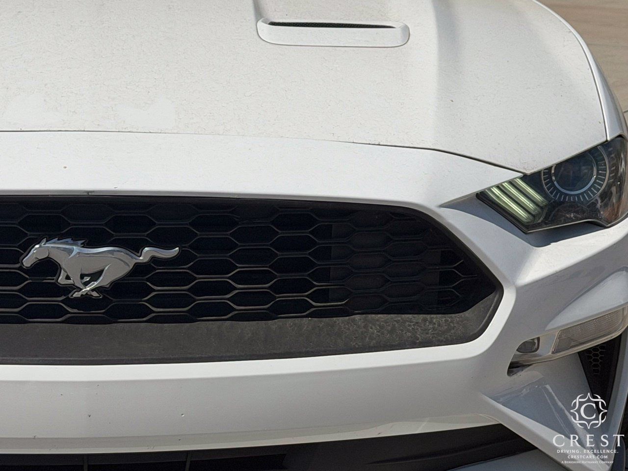 Used 2020 Ford Mustang Premium RWD image 3
