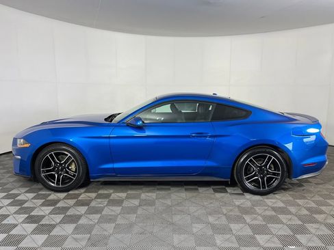 Used 2019 Ford Mustang Premium w/ Equipment Group 201A image 9