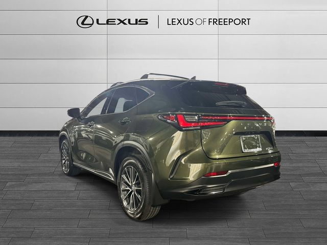 Used 2024 Lexus NX 350 AWD w/ Cold Area Package image 6