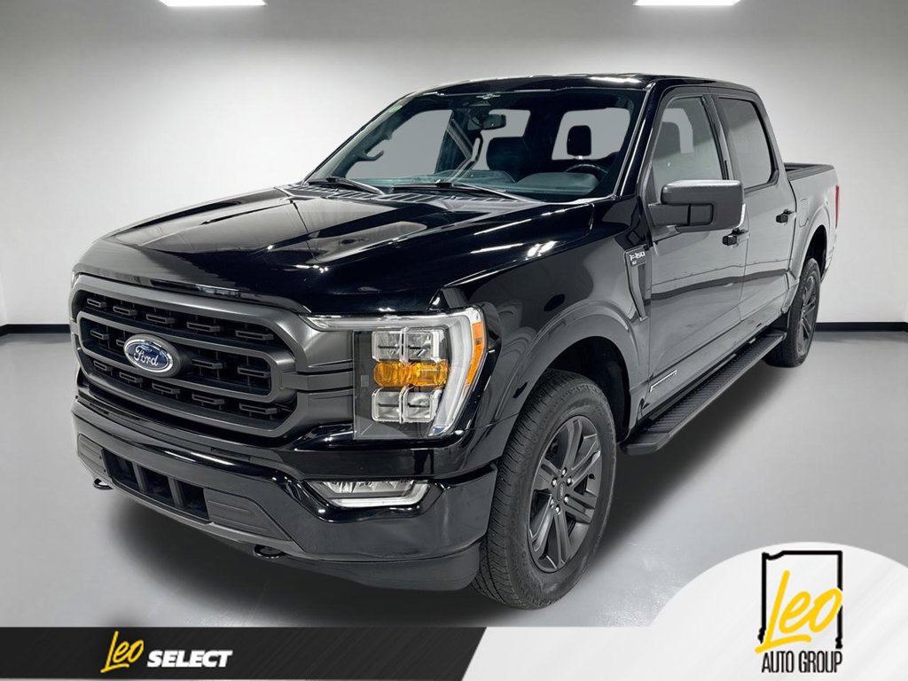 Used 2023 Ford F150 XLT w/ Equipment Group 302A High AWD/4WD image 1