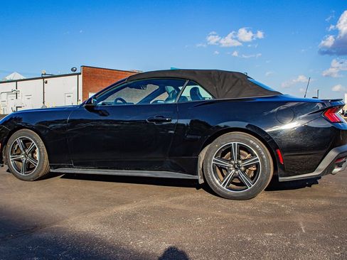 Used 2024 Ford Mustang Premium image 6