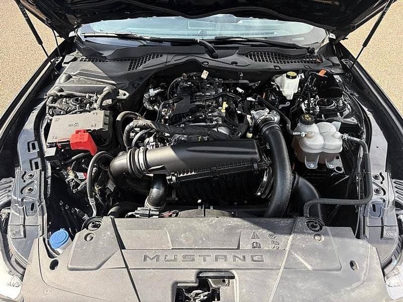 Used 2024 Ford Mustang Coupe RWD image 42