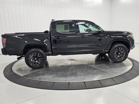 Used 2023 Toyota Tacoma Limited w/ Nightshade Package AWD/4WD image 6