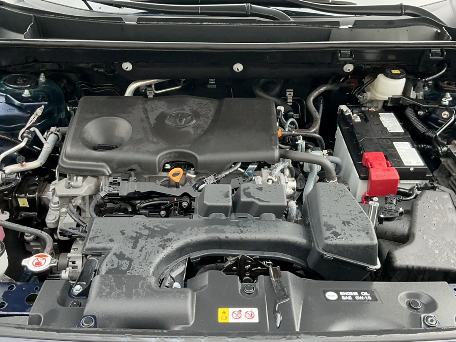 Certified 2025 Toyota RAV4 XLE AWD/4WD image 9