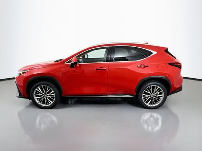 Certified 2025 Lexus NX 350h AWD w/ Cold Area Package
