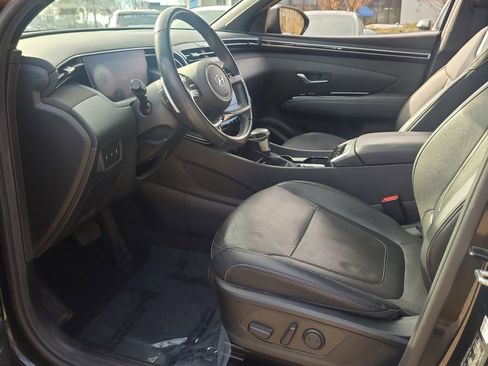 Used 2023 Hyundai Santa Cruz Limited image 11