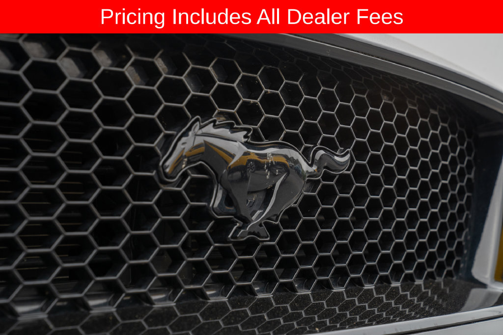 Used 2022 Ford Mustang GT w/ Equipment Group 301A RWD image 4