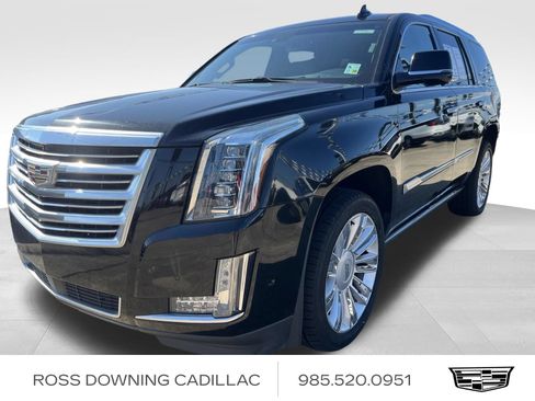 Used 2019 Cadillac Escalade Platinum RWD image 1