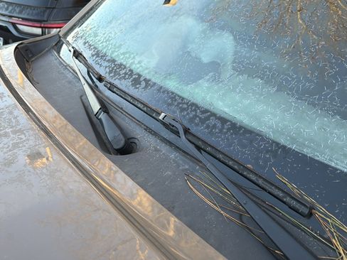 Used 2022 Nissan Frontier PRO-4X w/ Pro-4X Premium Package image 11