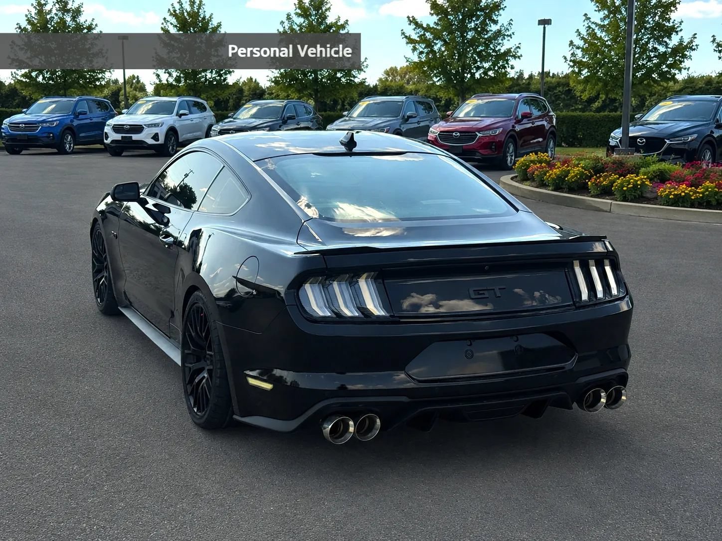 Used 2020 Ford Mustang GT w/ Equipment Group 301A RWD image 3