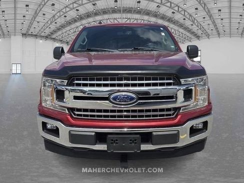 Used 2019 Ford F150 XLT w/ Equipment Group 302A Luxury RWD image 2