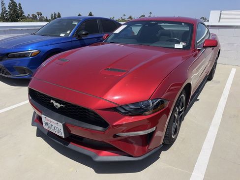 Used 2022 Ford Mustang Coupe w/ Equipment Group 101A RWD image 2