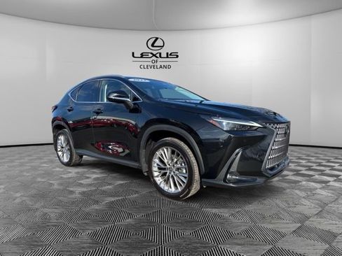 Used 2023 Lexus NX 350 AWD w/ Cold Area Package image 2