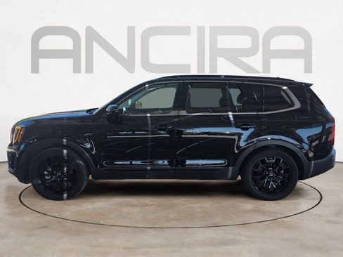 Used 2022 Kia Telluride SX w/ SX Prestige Package image 5