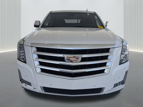 Used 2019 Cadillac Escalade Luxury RWD image 1