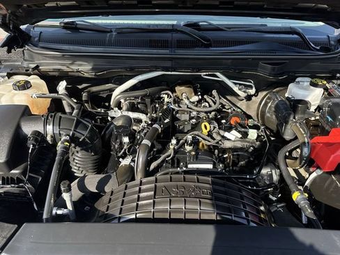 Used 2019 Ford Ranger XLT w/ Equipment Group 302A Luxury AWD/4WD image 30