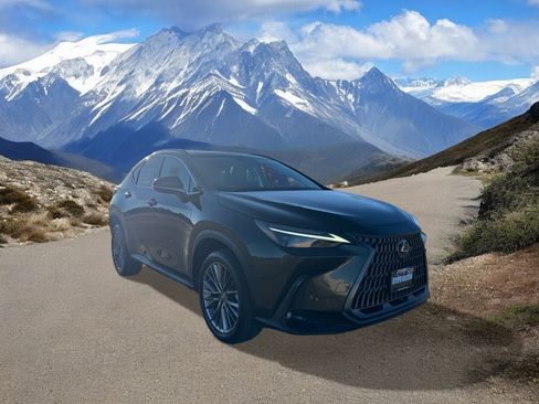 Used 2024 Lexus NX 350 AWD w/ Luxury Package image 7