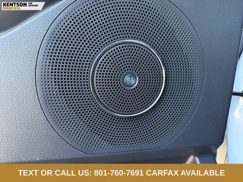 Used 2024 Ford Expedition Platinum AWD/4WD image 20