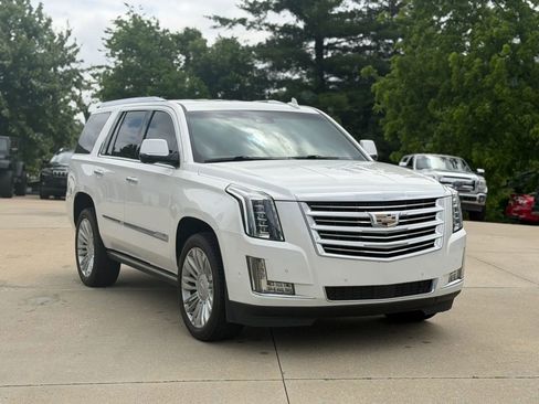 Used 2017 Cadillac Escalade Platinum AWD/4WD image 1