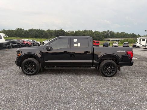 Used 2024 Ford F150 XLT w/ Equipment Group 302A MID AWD/4WD image 5