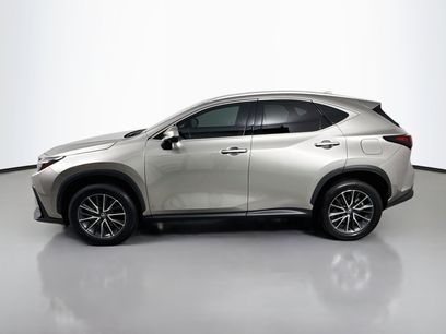 Certified 2025 Lexus NX 350 AWD w/ Cold Area Package