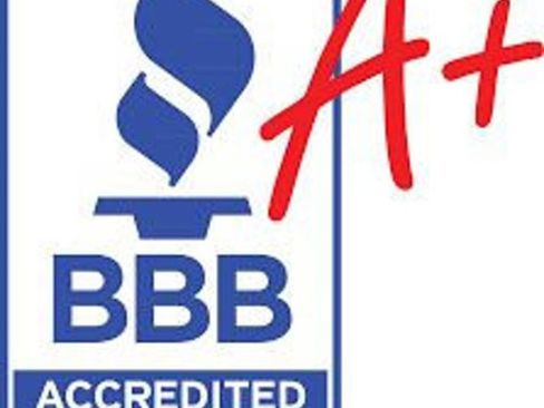 Used 2017 Ford Mustang GT Premium w/ Equipment Group 401A image 20