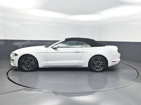 Used 2019 Ford Mustang Premium RWD image 3