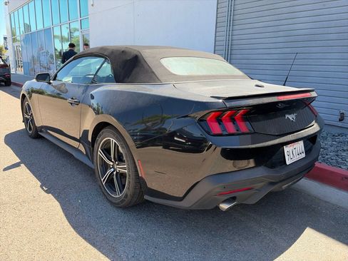 Used 2024 Ford Mustang Premium RWD image 4