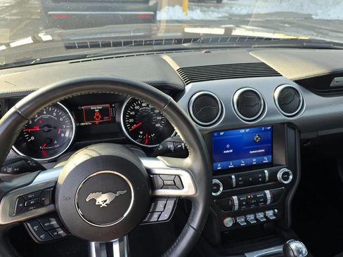 Used 2021 Ford Mustang GT w/ Equipment Group 301A image 2