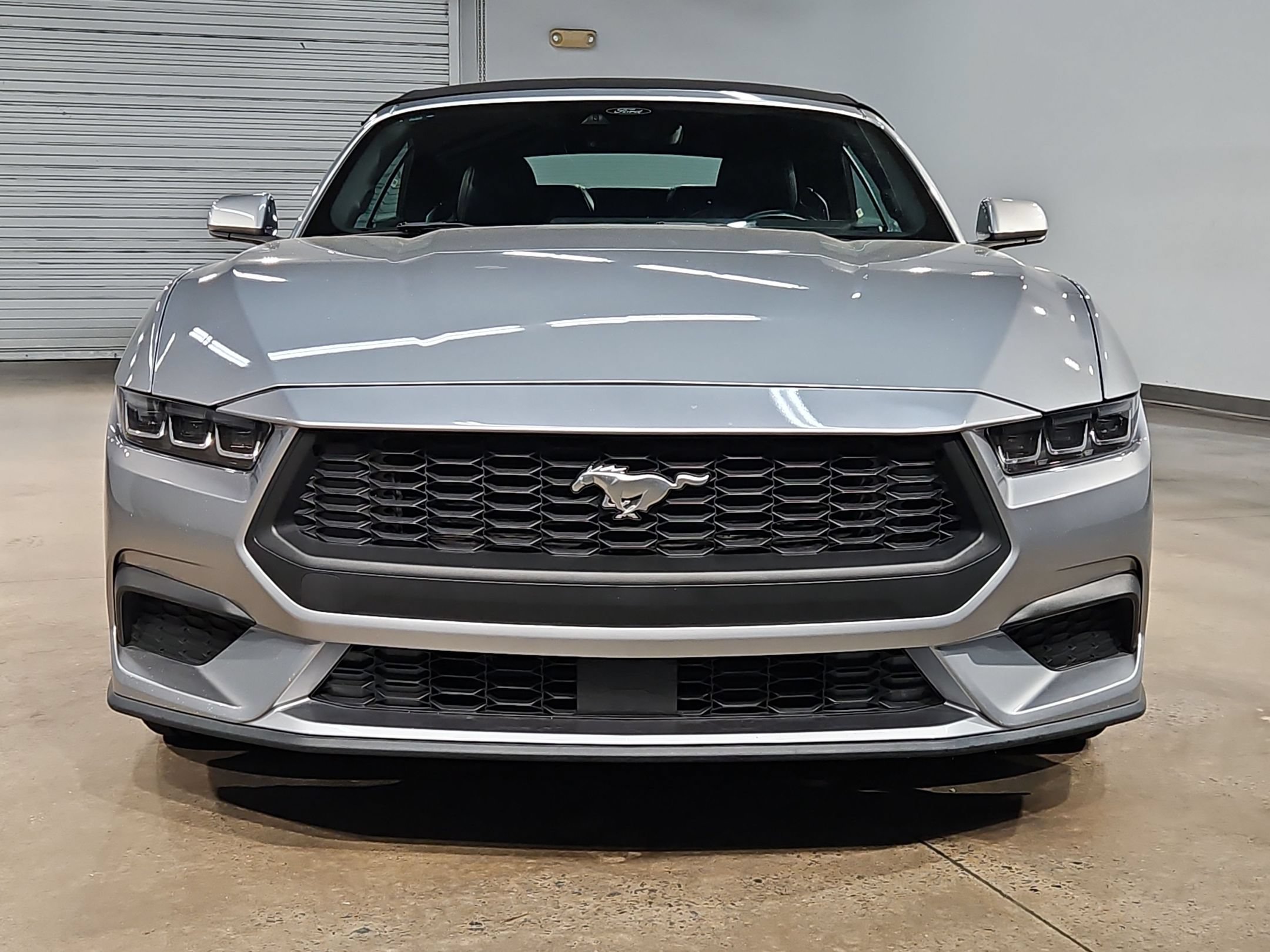 Used 2024 Ford Mustang Premium RWD image 2