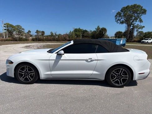 Used 2019 Ford Mustang Premium image 5