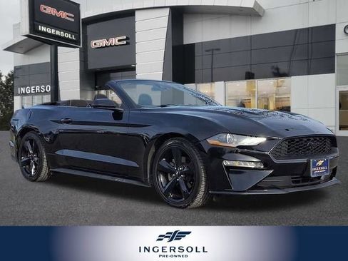 Used 2021 Ford Mustang Convertible w/ Equipment Group 101A image 1