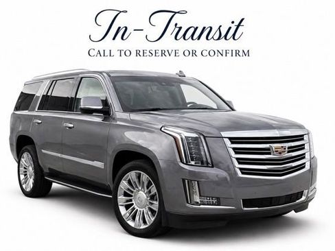 Used 2020 Cadillac Escalade Platinum AWD/4WD image 1