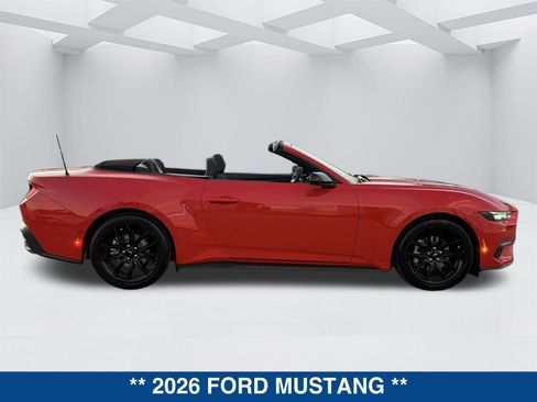 New 2026 Ford Mustang EcoBoost w/ Mustang Nite Pony Package image 3