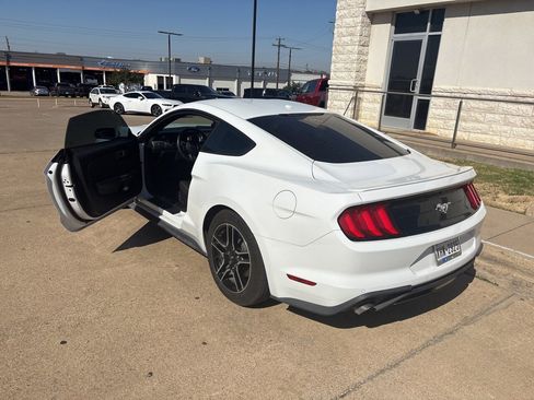 Used 2019 Ford Mustang Coupe w/ Equipment Group 101A image 2