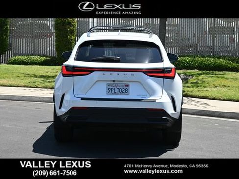 Used 2025 Lexus NX 250 AWD w/ Cold Area Package image 5
