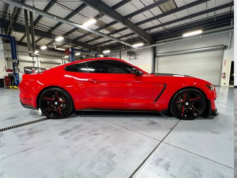 Used 2019 Ford Mustang Shelby GT350 w/ Technology Package image 8